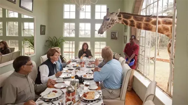 Giraffe Manor, Nairobi